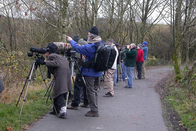 Bird watchers at the Hollingworth Lake Nature Reserve hoping to get a glimpse of the rare bird
