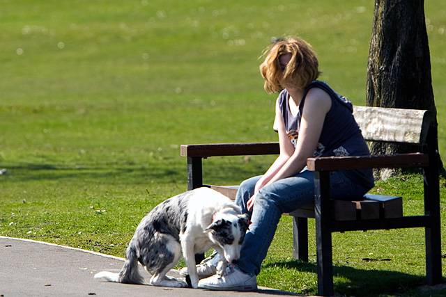 Dog and owner in Springfield Park