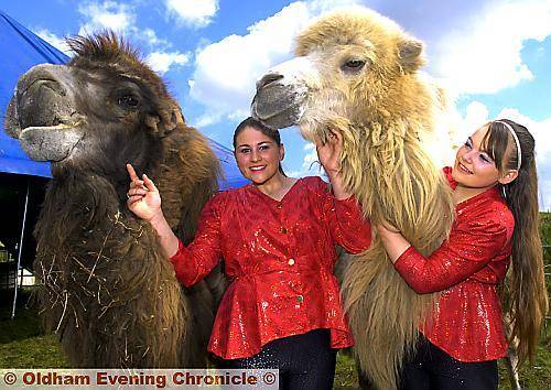 Kashmir and Sabia the camels with Madalane Timmis, left, and Cinzia Timmis