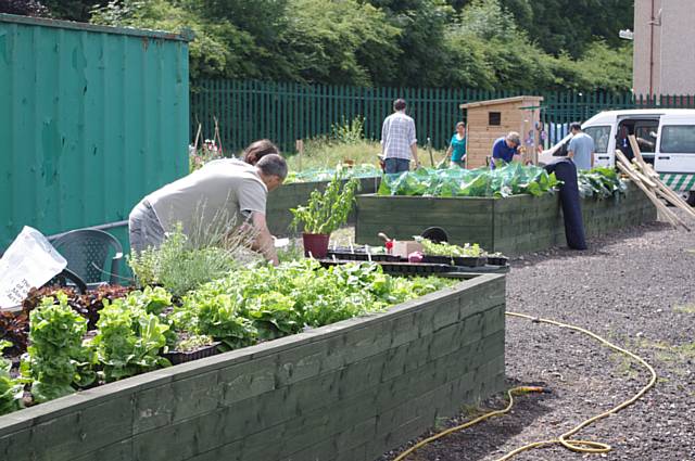 Growing sessions have started up again at Q Gardens for those keen to learn gardening skills and grow their own food