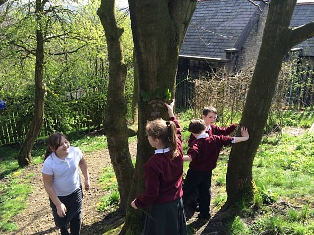 Stansfield Primary School visit a wood