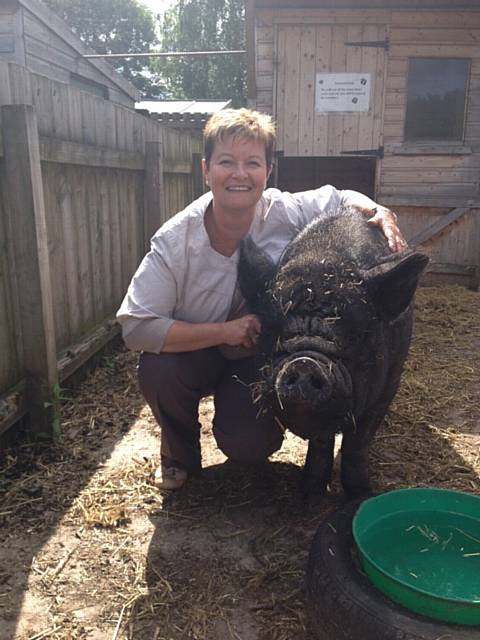 Lynne Coxell poses with one of the two micro-pigs looked after by pupils at St Edward's School
