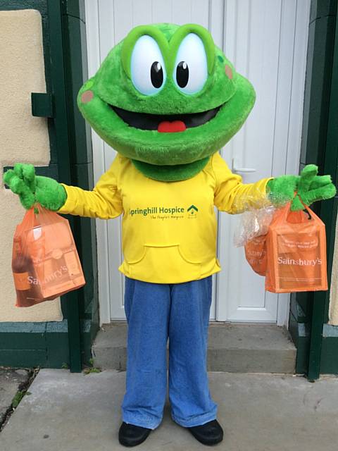 When it comes to packing shopping bags, Springy the Hospice Frog is pretty useless which is why he needs your help! 