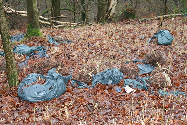 Ashworth Valley fly tipping on Boxing Day