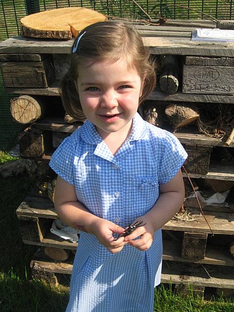 Bug Hotel - St John with St Michael Science Week