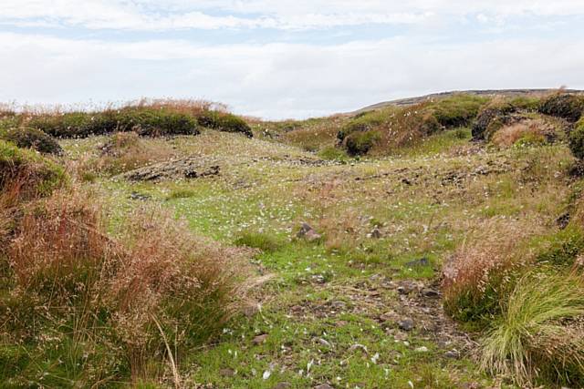 After the 5-year conservation project to protect 2,500 hectares of moorland 