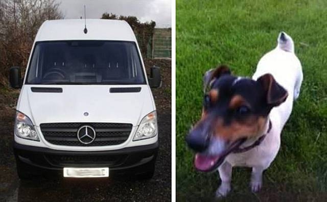 A Mercedes van similar to the one that was stolen and Buddy the Jack Russell terrier.