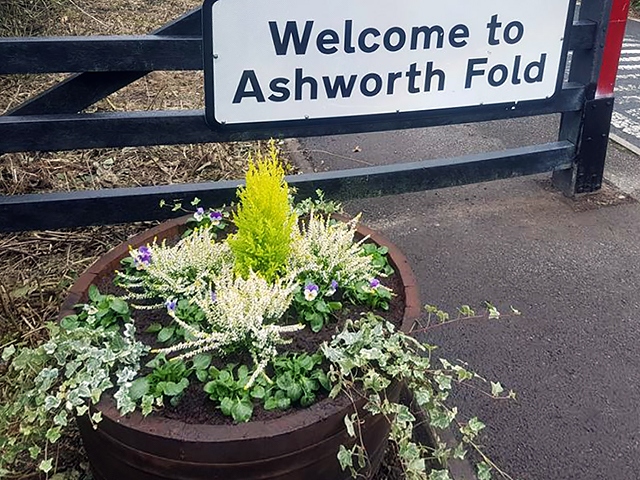 New planter in Ashworth Valley
