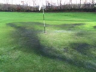 Damage to a green at Tunshill Golf Club