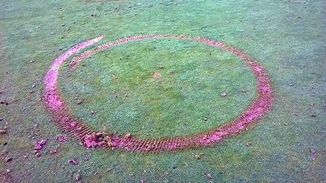 Damage caused to the third green by a scrambler bike
