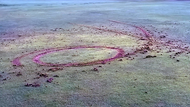 Damage caused to the eleventh (winter) green by a scrambler bike
