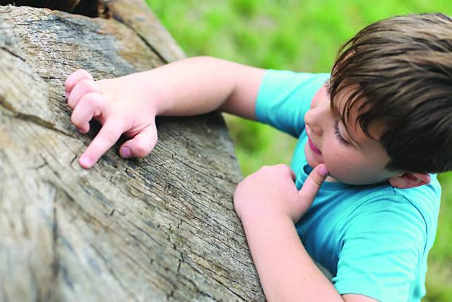City of Trees is helping connect children to the trees, woods and wildlife on their doorstep
