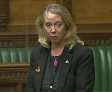 Liz McInnes MP