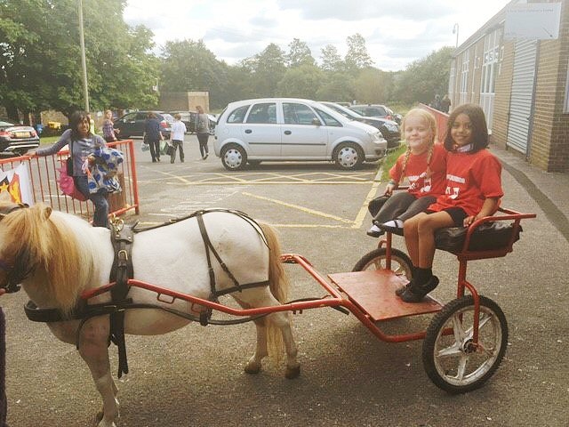 Shetland ponies and traps Littleborough Community Primary School Summer Fair 