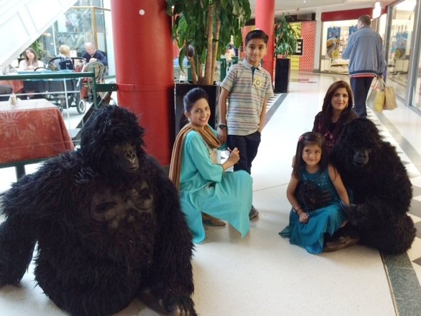 Young shoppers meet the gorilla family at the Wheatsheaf Shopping Centre 