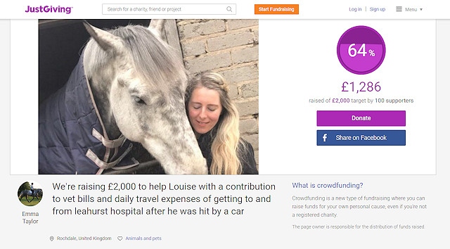 A fundraiser has been launched to help fund emergency vet bills after a horse was left with serious injuries