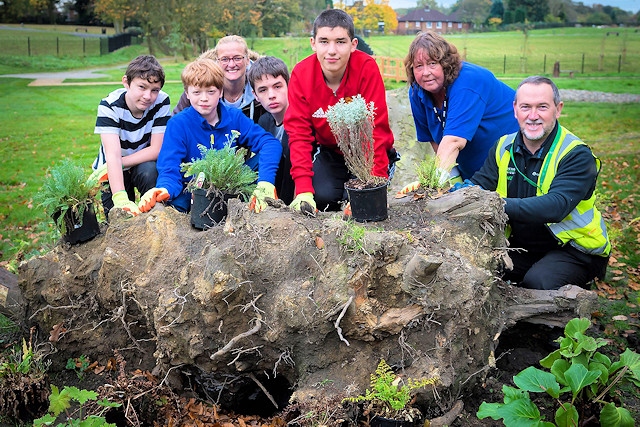 Children and staff from Redwood School are joined by Council staff creating a stumpery at Denehurst Park 