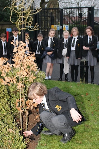 Lucca Minopoli and his year 8 classmates plant an Oak tree to mark the start of 2017