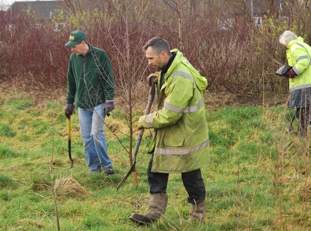 New trees being planted in Wince Brook Nature Reserve