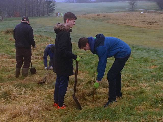 150 trees planted in Milnrow