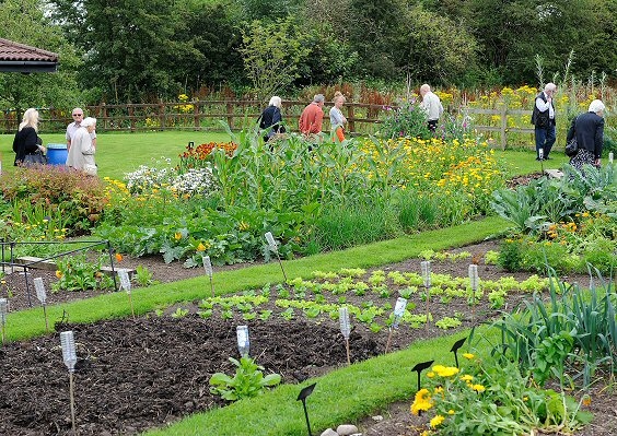 Springhill Hospice Open Garden Day Sunday 6 August between 11.00am and 3.00pm