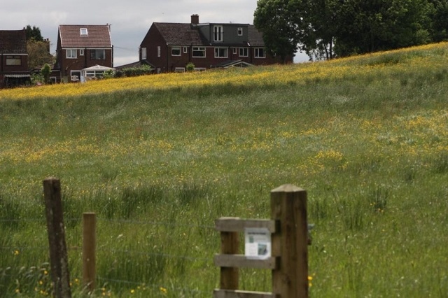 New housing must take into account wildlife concerns, says The Wildlife Trusts