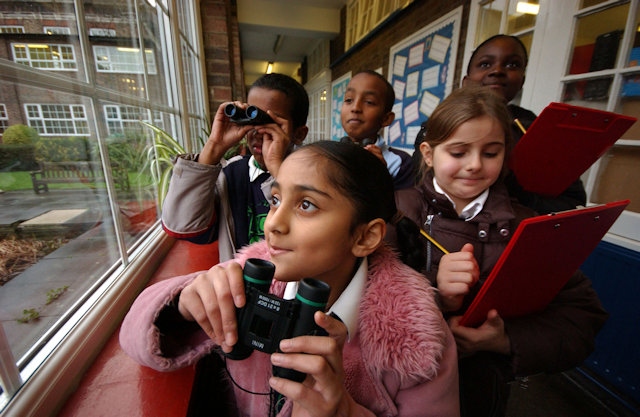 Children watching birds at school, RSPB Big Schools Birdwatch

