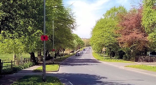 Lampost poppies on Roch Valley Way, Rochdale