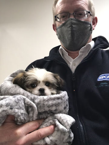 the Shih Tzu puppy with Steve Wickham who rescued her