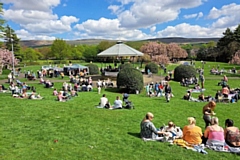 The Friendly Band is performing at Hare Hill Park on Sunday as part of Littleborough Arts Festival
