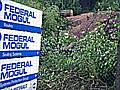 Federal Mogul signs 