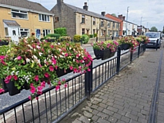 Norden in Bloom 2023