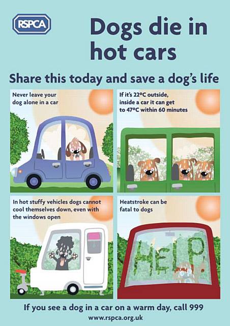 Dogs die in hot cars - if it's 22 degrees outside it can reach 47 degrees inside your vehicle