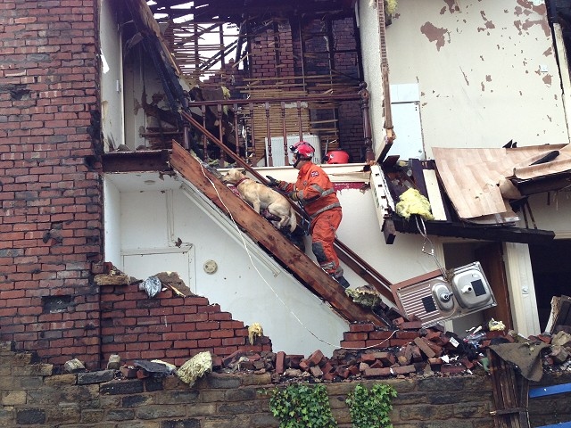 Search dog helping at War Office Road, Rochdale, where crews are searching the building