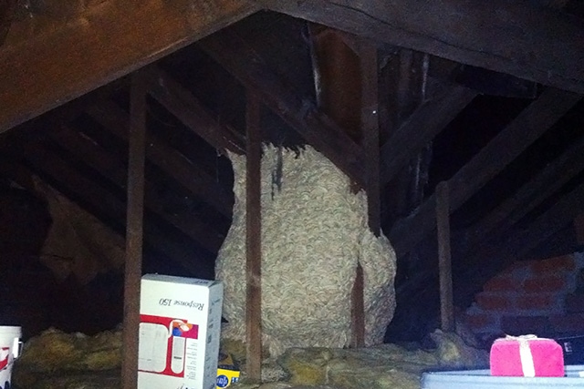 Huge wasp's nest found in house in Wardle
