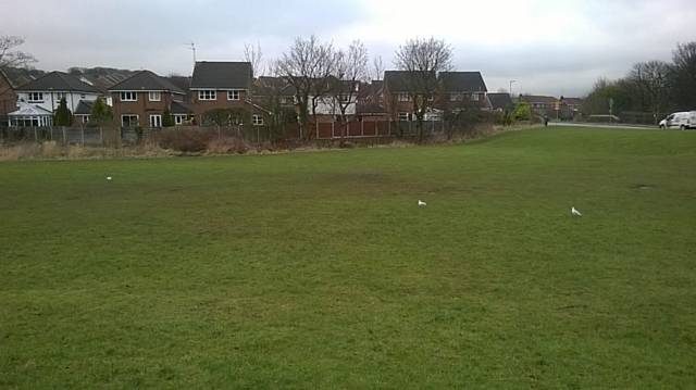 Playing field at Cut Lane Caldershaw Road