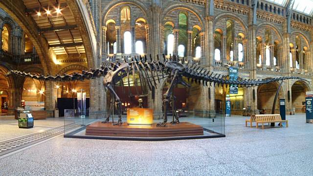 Dippy the dinosaur is coming to Rochdale