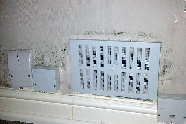 Damp and mould in a property