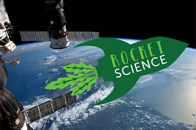 St Cuthbert’s RC High School students become space biologists