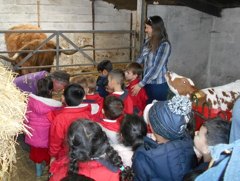 Beech House School Nursery at Animal Quackers Farm