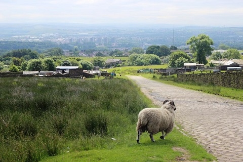 A view from the Cotton Famine Road over Catley Lane Head and down Rooley Moor Road
