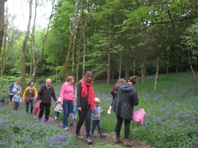Ealees Forest School bluebells Dig n Delve session in May 2017