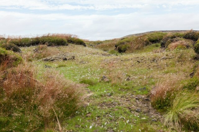 A similar area of moorland after improvement to vegetation cover 