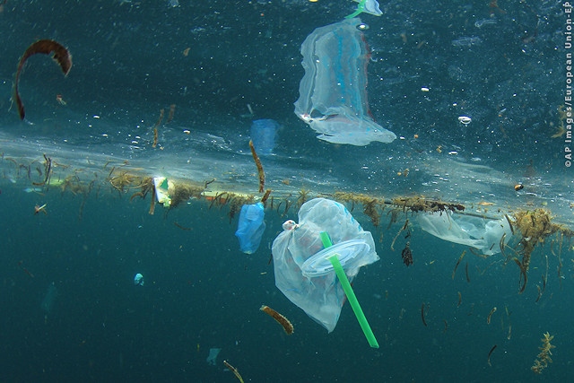 After Blue Planet II aired on BBC in 2017, a public backlash arose against single-use plastics – including drinking straws