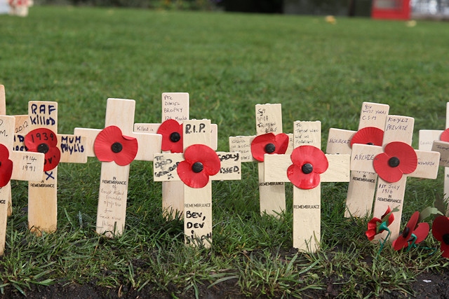 Poppy crosses commemorating those who fell in the World Wars