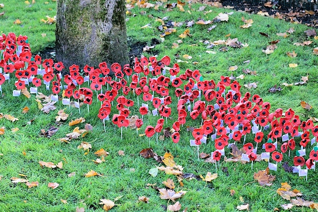 Commemorative Poppy Garden at Kingsway Park High School