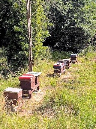 Peter's hives before the attack