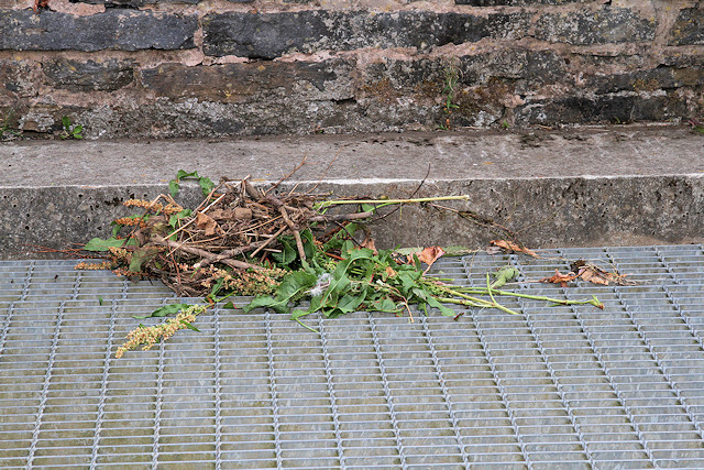 Debris cleared on the platform of the debris screen