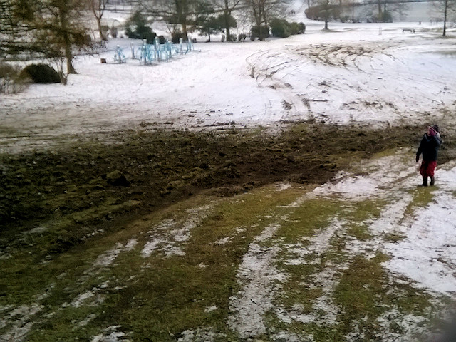 Damage caused by cars driving over the snow on the hill above the lake