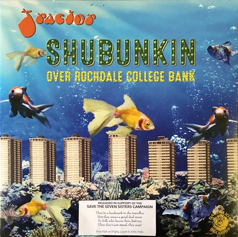 Shubunkin over Rochdale College Bank